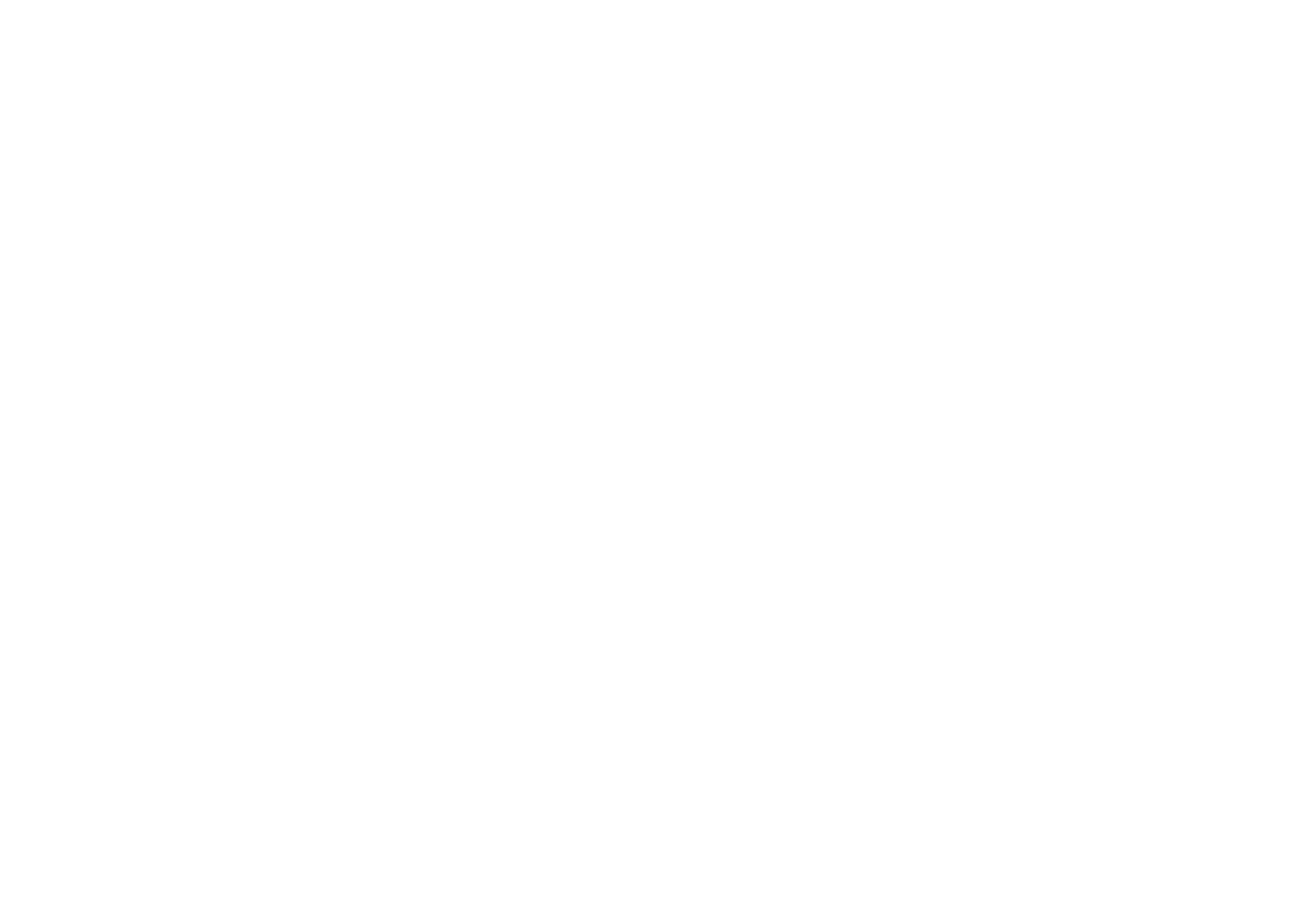 illustration of the delafia bar